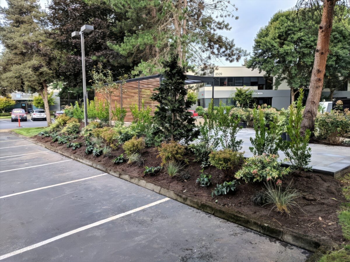 Commercial Landscape Maintenance - Brookstone Landscape