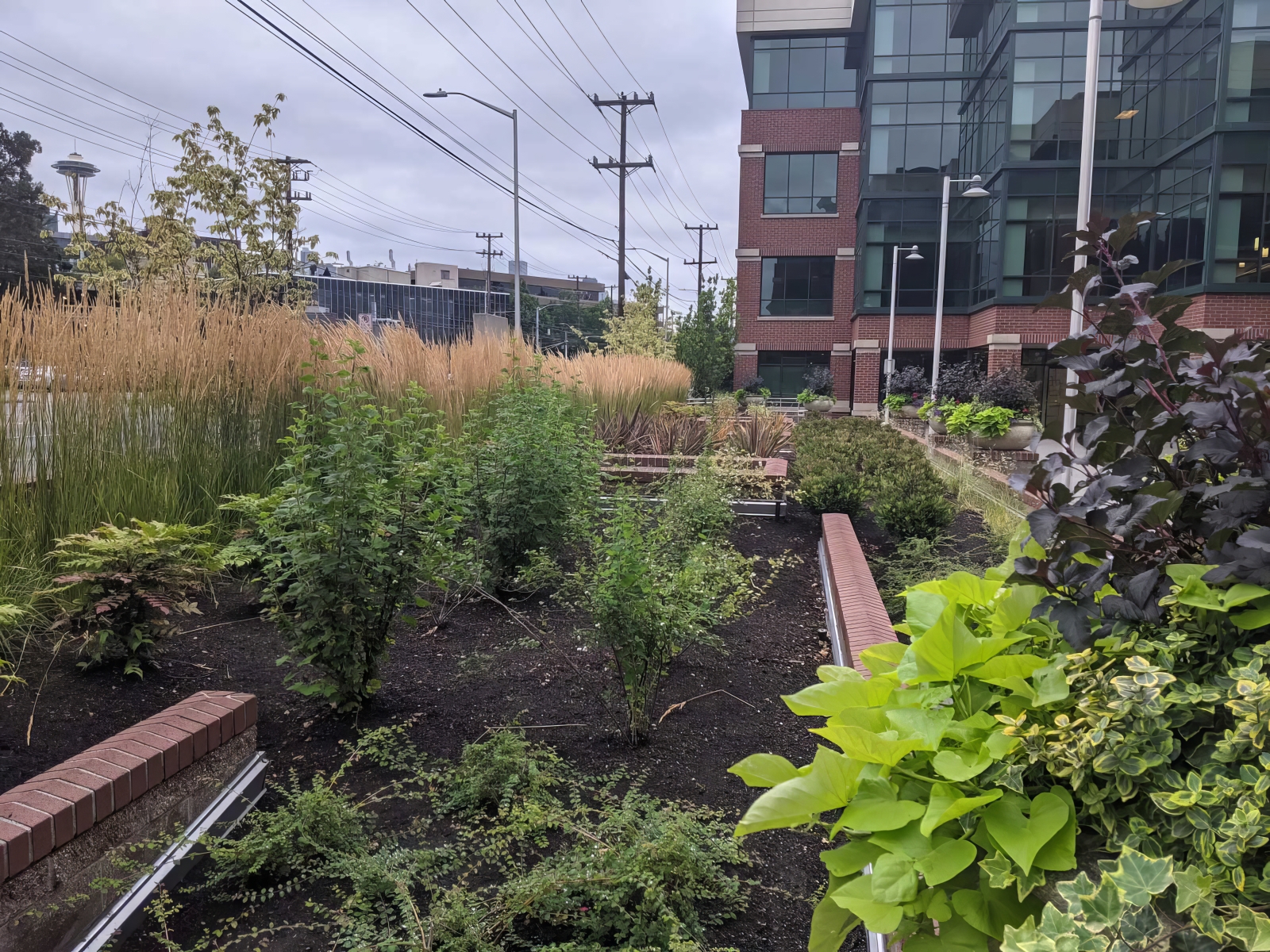 Landscape Construction - Brookstone Landscape & Design - Seattle Metroplex - King County, WA