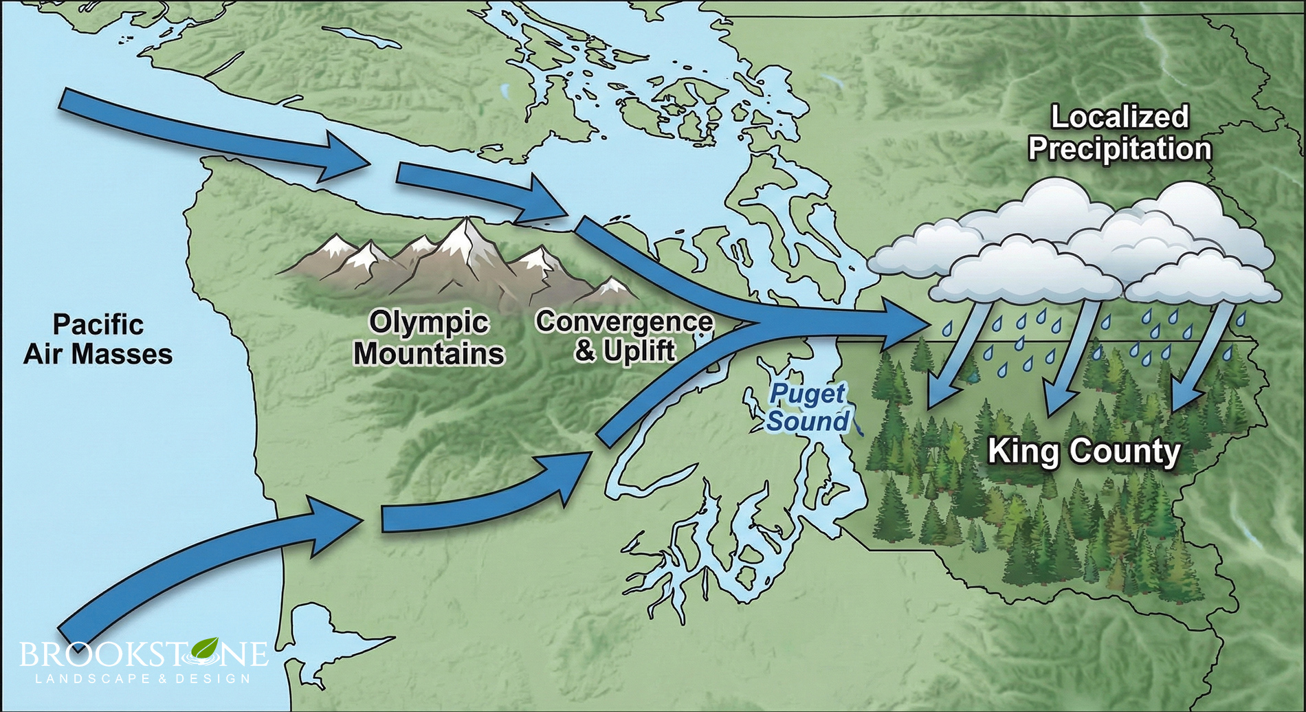 The Puget Sound Convergence Effect - King County - Brookstone Landscape & Design