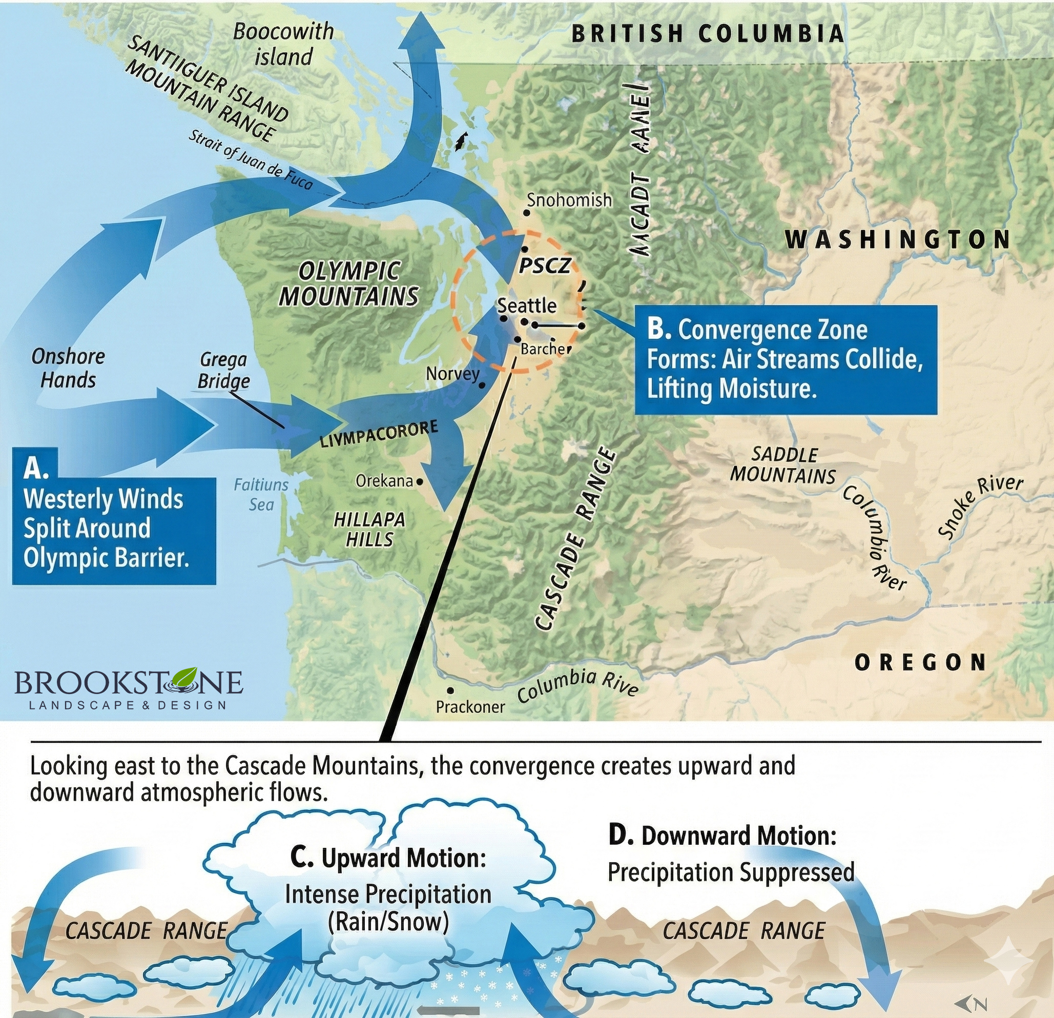 The Puget Sound Convergence Zone: A Blueprint for Snow - Brookstone Landscape & Design - produced by Gemini by Google